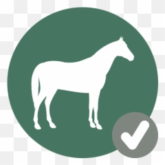 Download Horse Icon Check - Hook PNG Image with No Animal Figure