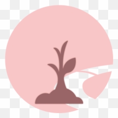 Seo - Illustration png