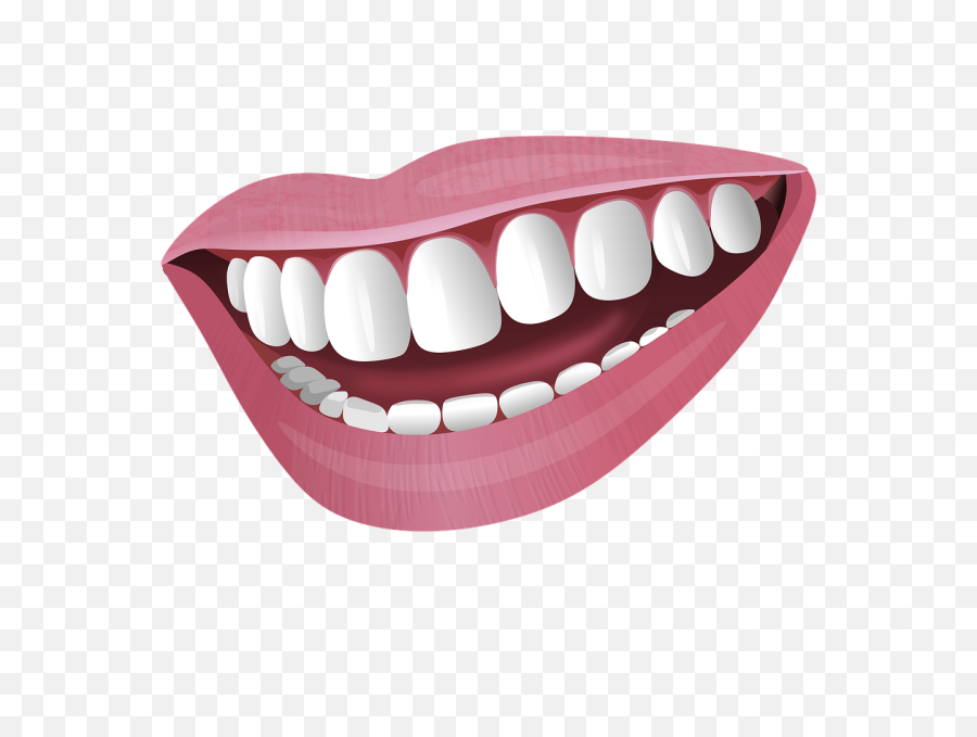 Illustration Mouth Smile - Gambar Mulut Senyum Png,Smiling Mouth Png