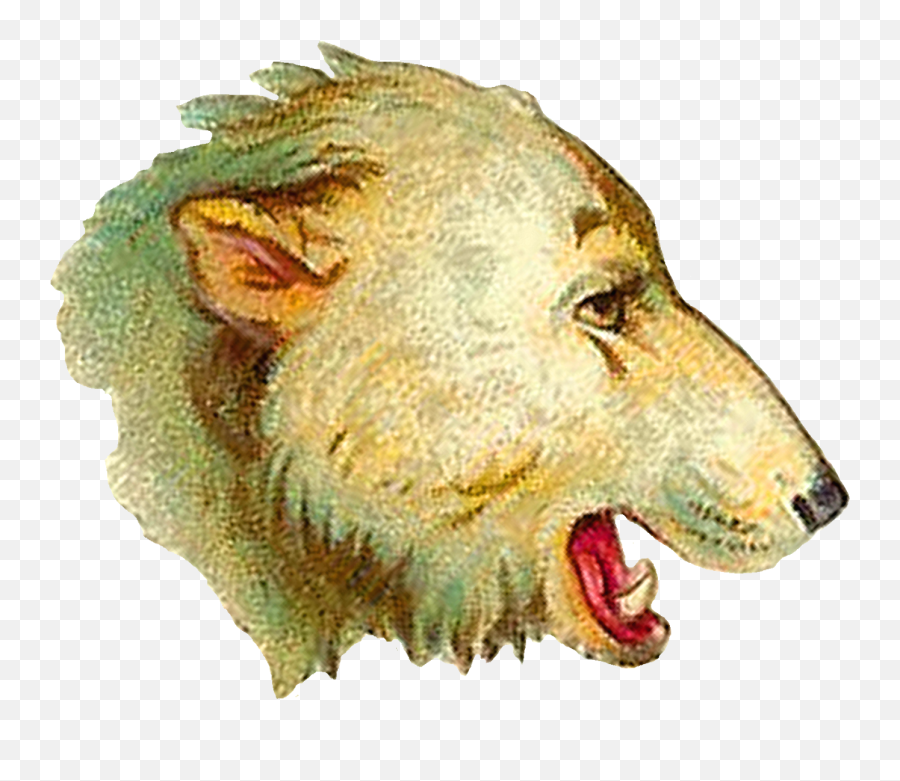 Antique Images Brown Bear Polar Clip Art Animal - Lion Png,Bear Head Png