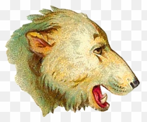 Antique Images Brown Bear Polar Clip Art Animal - Lion Png,Bear Head Png