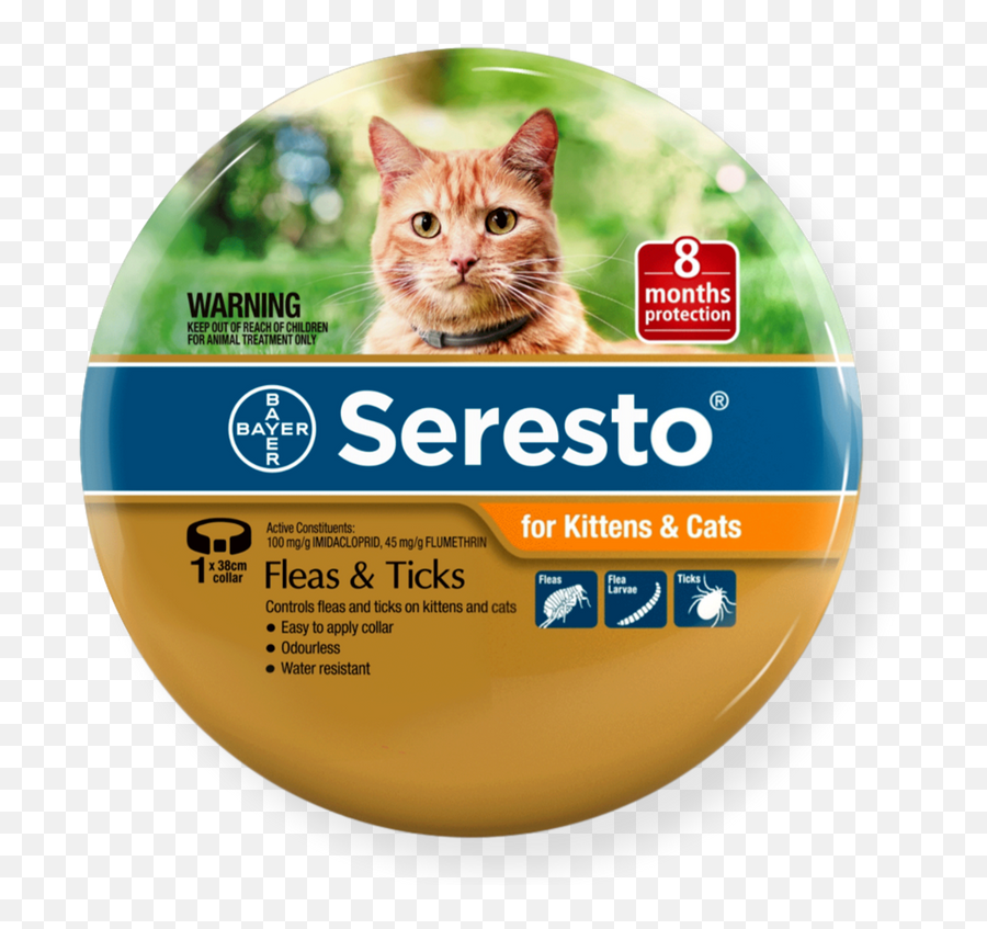 Kitten Flea Collarwelcome To Buytrscollegerewaorg - Seresto Flea Collar For Cats Png,Kuiu Icon Pro 7200