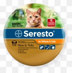 Kitten Flea Collarwelcome To Buytrscollegerewaorg - Seresto Flea Collar For Cats png