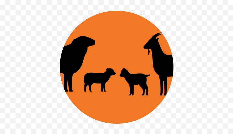 Sheepgoat Products U2013 Vita Charge - Animal Figure Png,Transparent Goat Icon