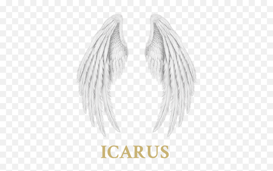 Products U2013 Icarus - Solid Png,Angel Icon Tumblr