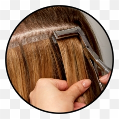 Professional Hair Extensions U0026 Tools The Shop - Design png