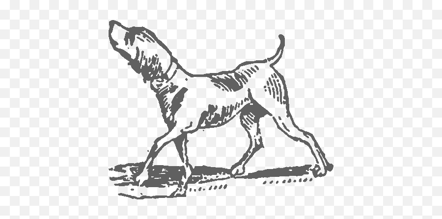Bird Dog - Southern Restaurant In Ny Png,Puppy Icon