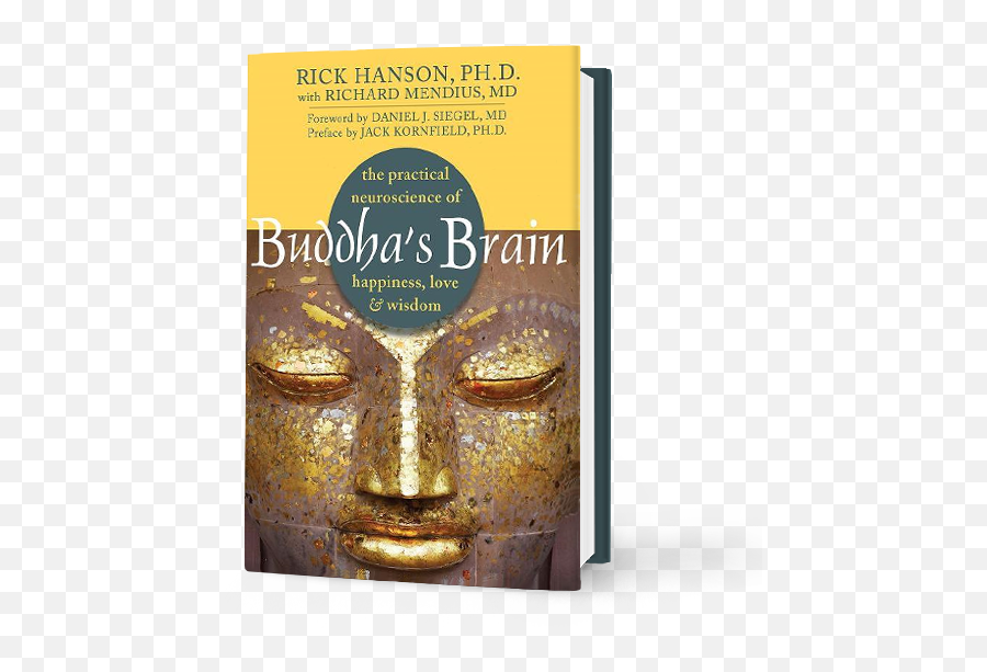 Buddhau0027s Brain - Dr Rick Hanson Rick Hanson Brain Png,Buddha Transparent