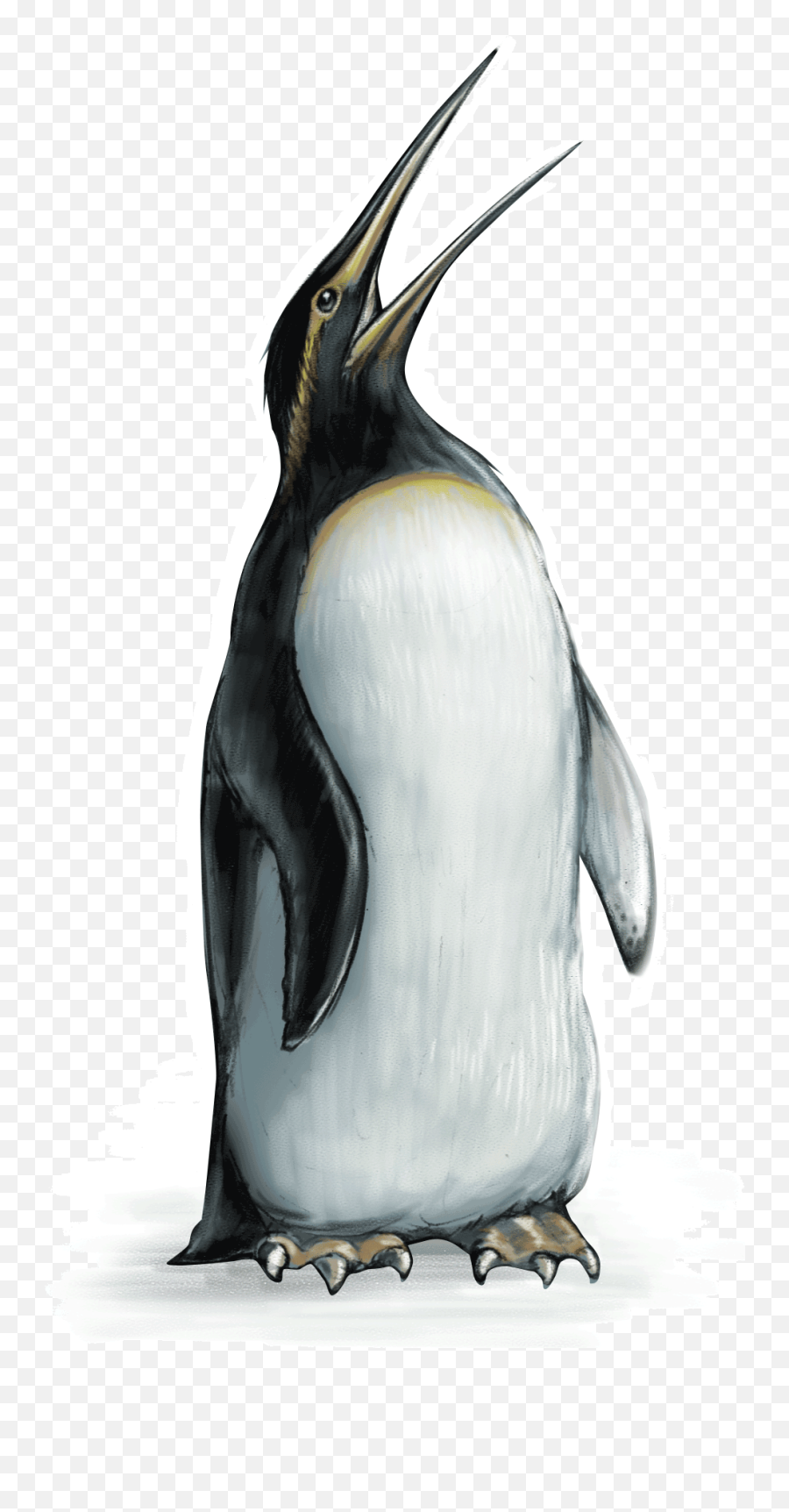 Penguin - Emperor Penguin Full Size Png Download Seekpng Emperor Penguin Transparent,Emperor Palpatine Png