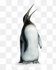 Penguin - Emperor Penguin Full Size Png Download Seekpng Emperor Penguin Transparent,Emperor Palpatine Png