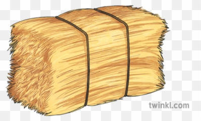 Hay Bale 1 Illustration - Twinkl Lumber Png,Hay Png