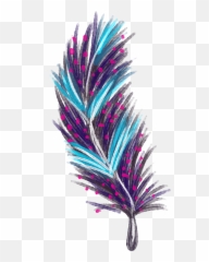 Euclidean Vector - Line Drawings Of A Feather Png,Feather Transparent Background