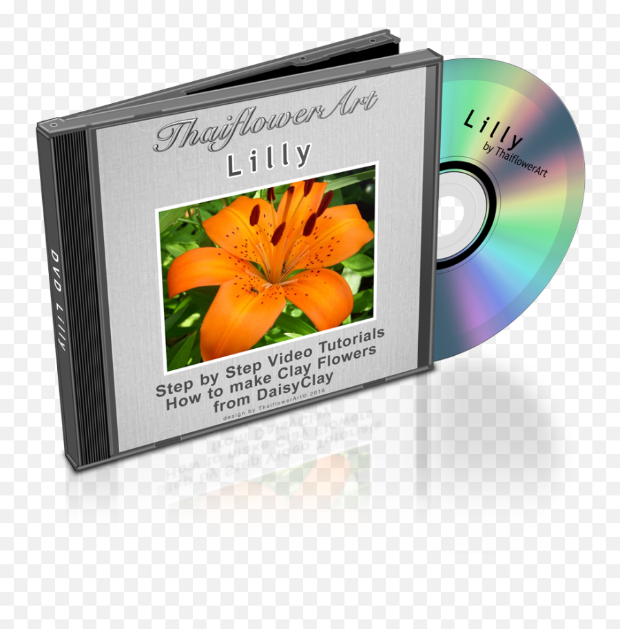 Dvd Lilly Png