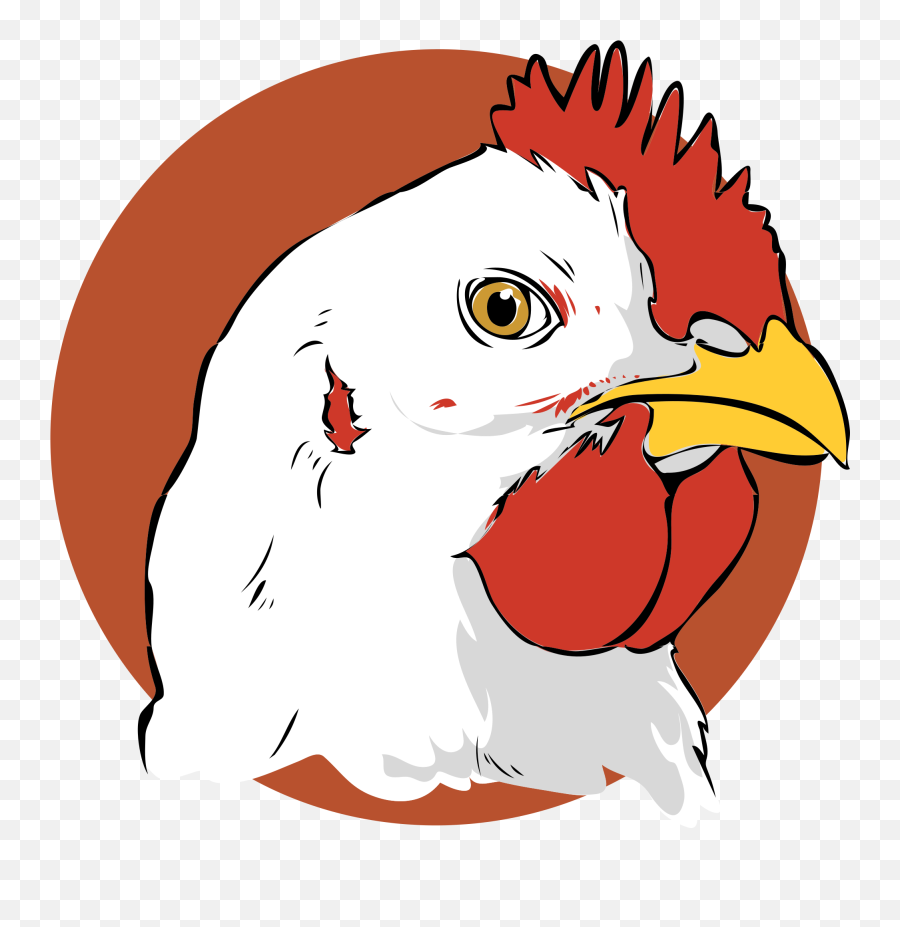 Download Hen Clipart Broiler Chicken - Broiler Chicken Broiler Chicken Clipart Png,Chicken Clipart Transparent Background