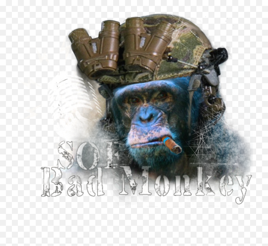 Podcasts U2014 Sofbadmonkey Png Chimp