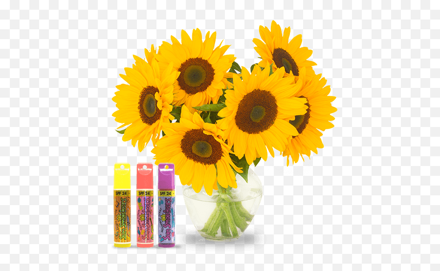 Sunflower Emoji - Bay Png Download Original Size Png Artificial Flower,Sunflower Emoji Transparent