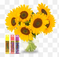 Sunflower Emoji - Bay Png Download Original Size PNG Artificial Flower