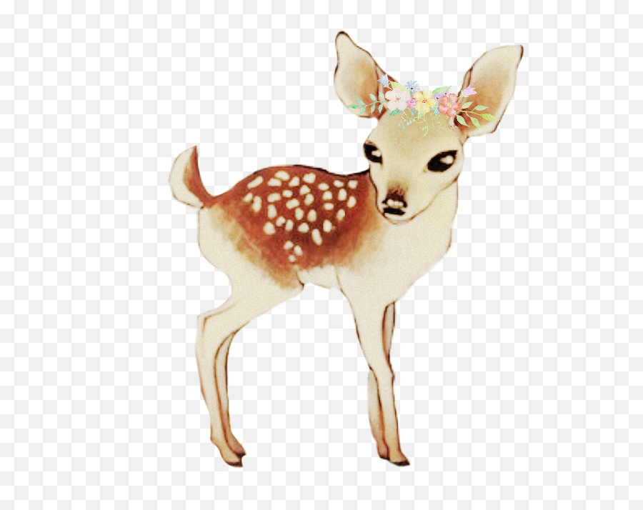 Baby Deer Drawing - Draw A Baby Deer Png,Baby Deer Png