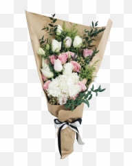 Hydrangea U2013 Mirage Flowers Png
