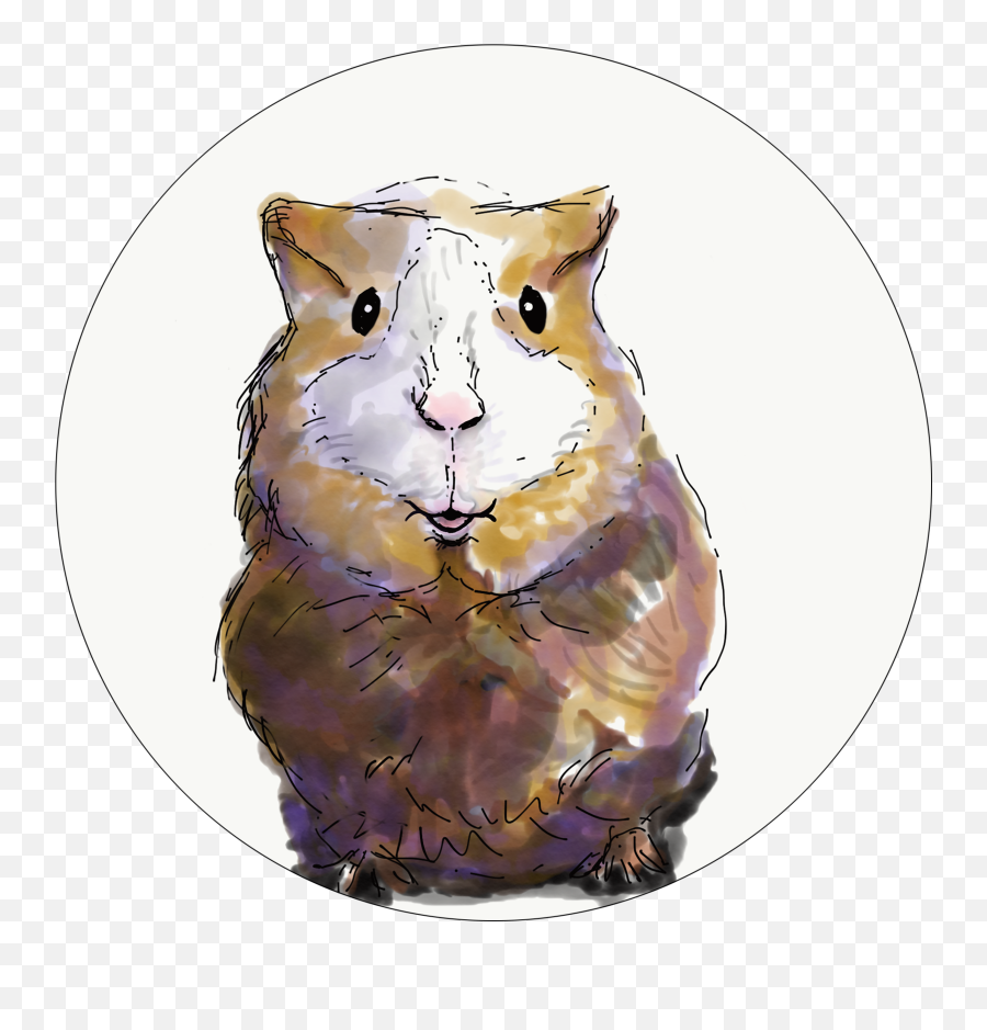 Download Hamster Png Image With No - Soft,Hamster Png