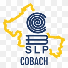 Colegio De Bachillers Slp - Cobach Slp Png,Logo Cobach