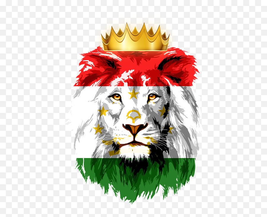 Lion King Crown - Free Image On Pixabay Afghanistan Flag With Lion Png,Lion King Logo Png