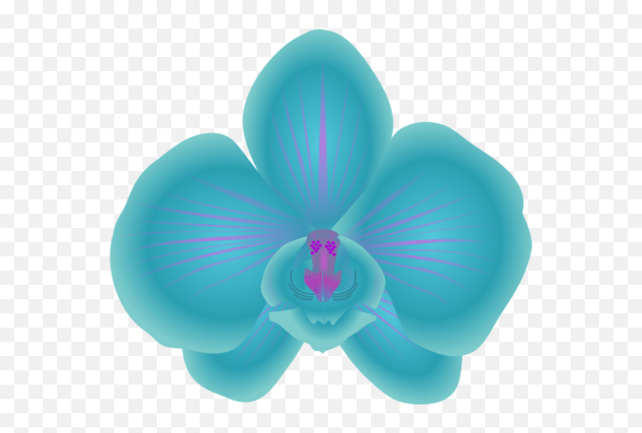 Blue Orchids Vector Png Transparent - Animated Blue Orchid Flower,Orchids Png