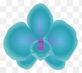 Blue Orchids Vector Png Transparent - Animated Blue Orchid Flower,Orchids Png