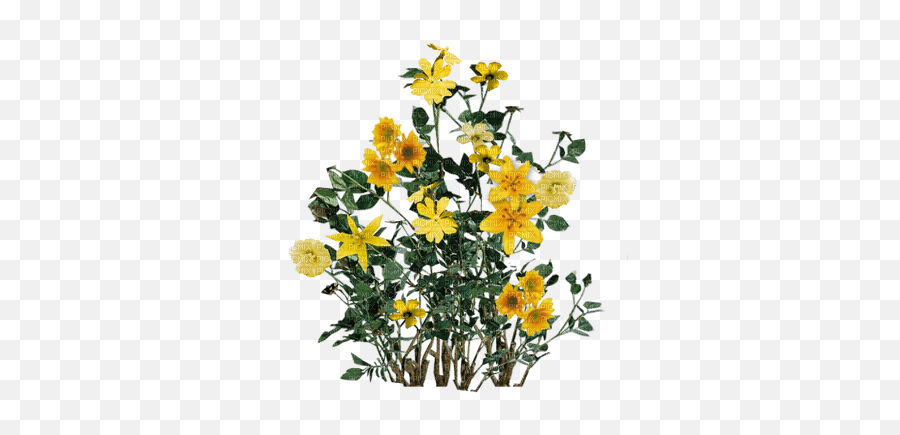 Yellow Wildflowers Sunshine3 - Picmix Wort Png,Wildflowers Png