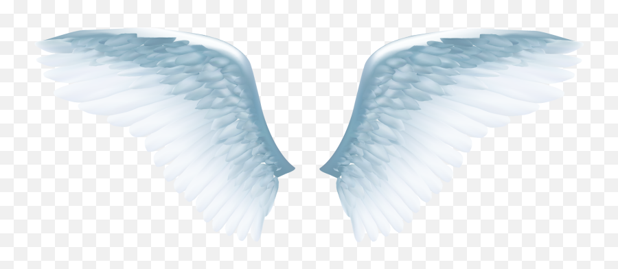 Download White Angel Wings Png - White Angel Wings Png,Wings Png
