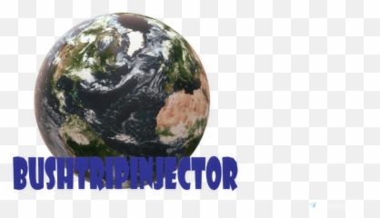 Bushtripinjector Microsoft Flight Simulator - Language png
