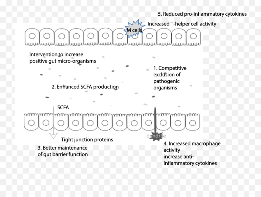 Mechanisms Linking The Human Gut - Dot Png,Klipsch Icon Kf 26