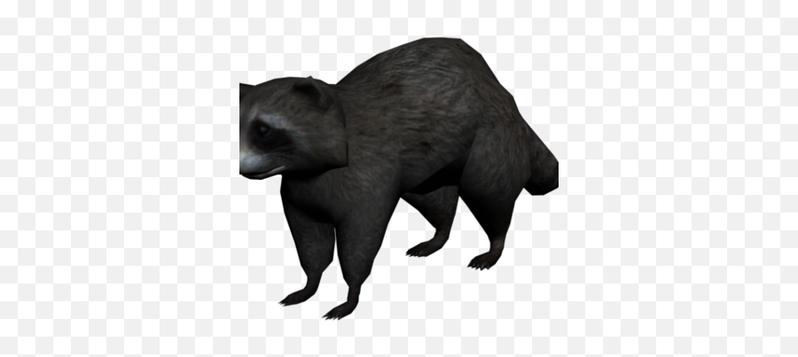 Raccoon - Raccoon Png,Racoon Icon