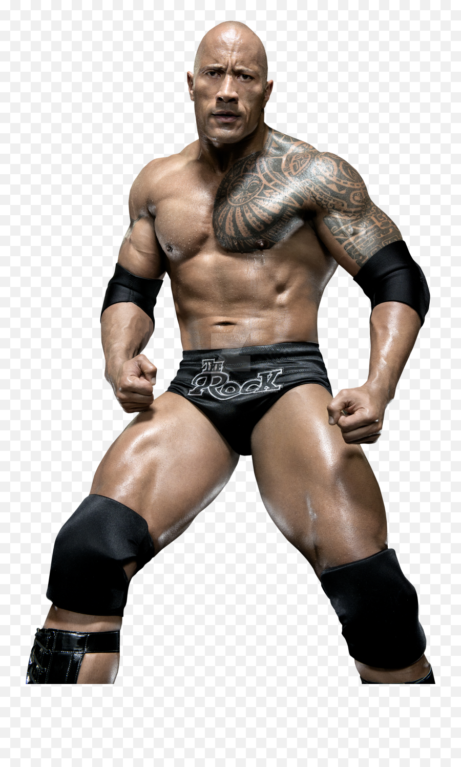The Rock Png Free Download - Dwayne Johnson Full Body,The Rock Png