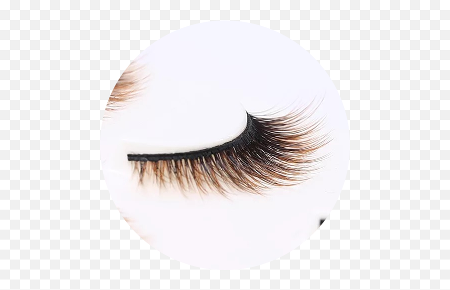 Rebornhairs Inc Manufacturer Of Wigs Hair Extensions - 3d Color Lashes Png,Lash Icon