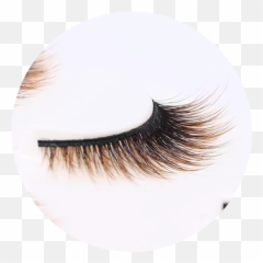Rebornhairs Inc Manufacturer Of Wigs Hair Extensions - 3d Color Lashes png