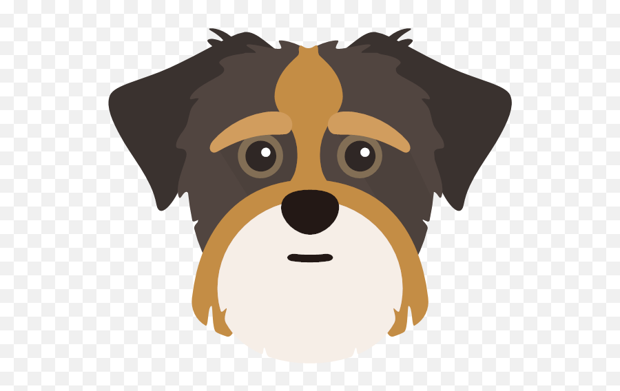 Show Off Your Shorkie - Shorkie Png,Dog Face Icon