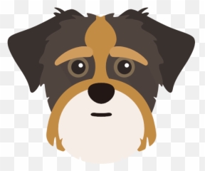 Show Off Your Shorkie - Shorkie Png,Dog Face Icon
