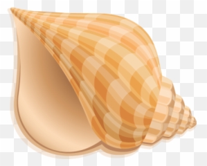 Seashell Shell Conch Transparent U0026 Png Clipart Free Download - Clip Art Sea Shell,Sea Shell Png
