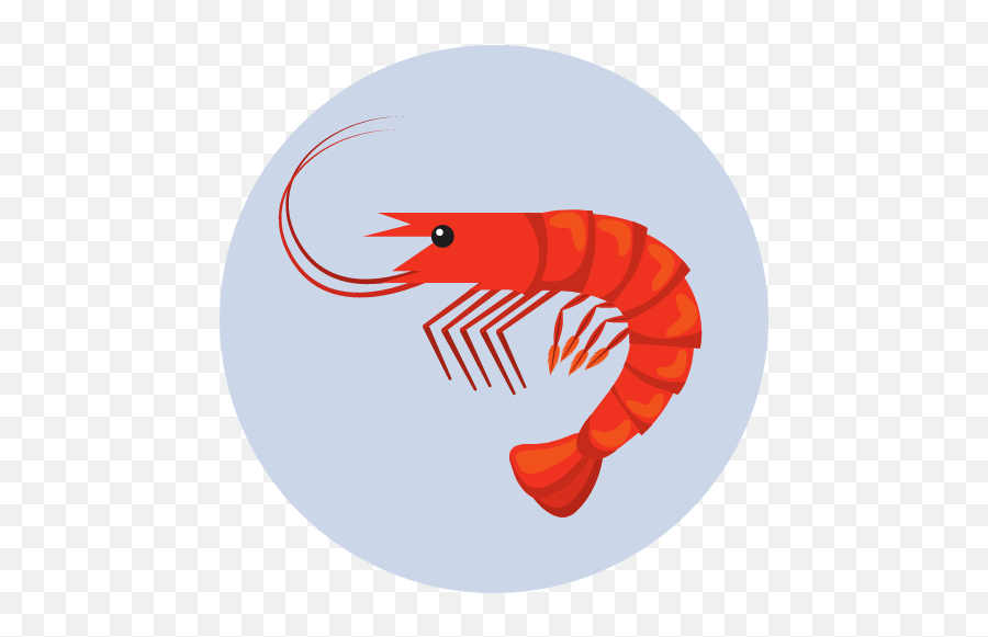 Seafood U2013 Fish Nu0027 Chix - Seafood Png,Shrimp Icon Png