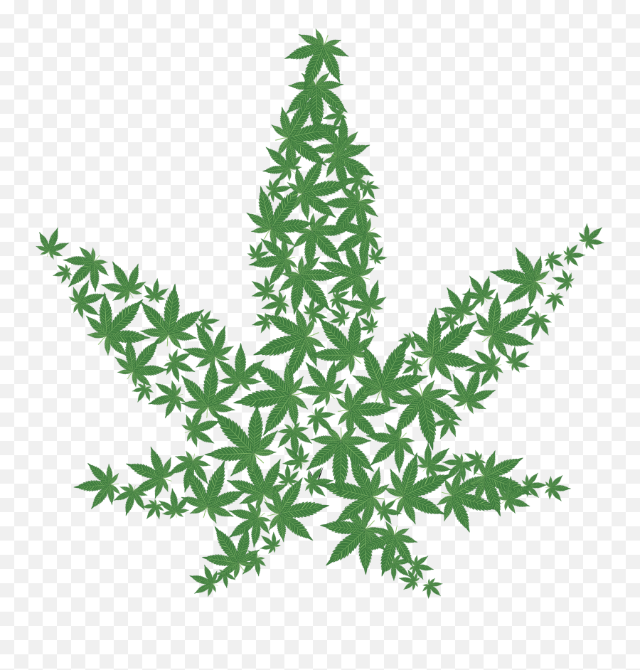 Weed Leaf Transparent Png - Marijuana Leaf Png Transparent,Weed Transparent Background