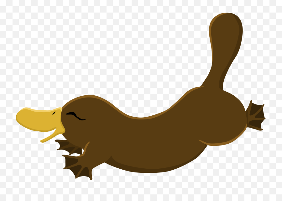 Surface Design With A Platypus - Transparent Platypus Clipart Png,Platypus Png