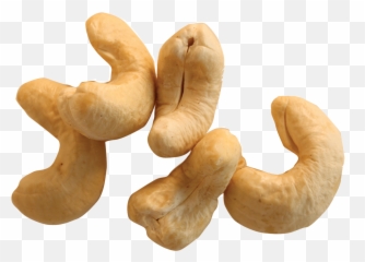Cashew Nut Png - Cashew Png,Cashew Png