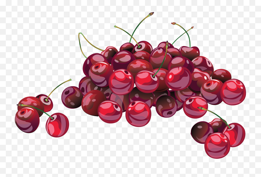 Cherries Png Image - Cherry Free Png,Cherries Png