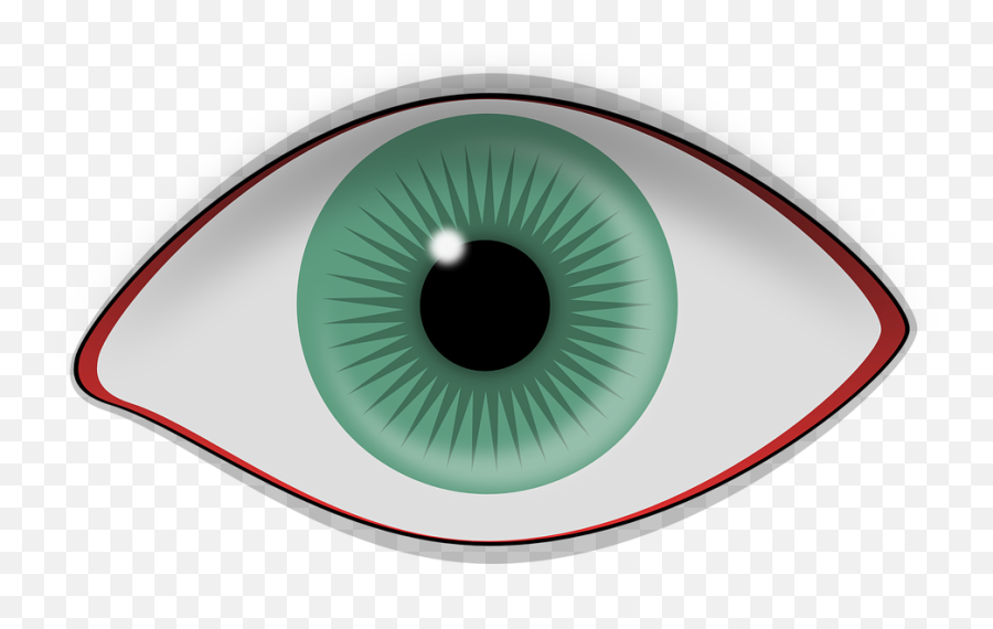 Eye Pupil Iris - Free Vector Graphic On Pixabay Ojo Humano Png,Human Eyes Png