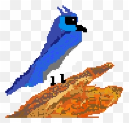 Download Blue Jay - Illustration Png Image With No Mountain Bluebird,Blue Jay Png