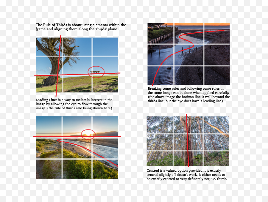Download Hd Composition For Workshop Page - Tree Transparent Tree Png,Rule Of Thirds Png