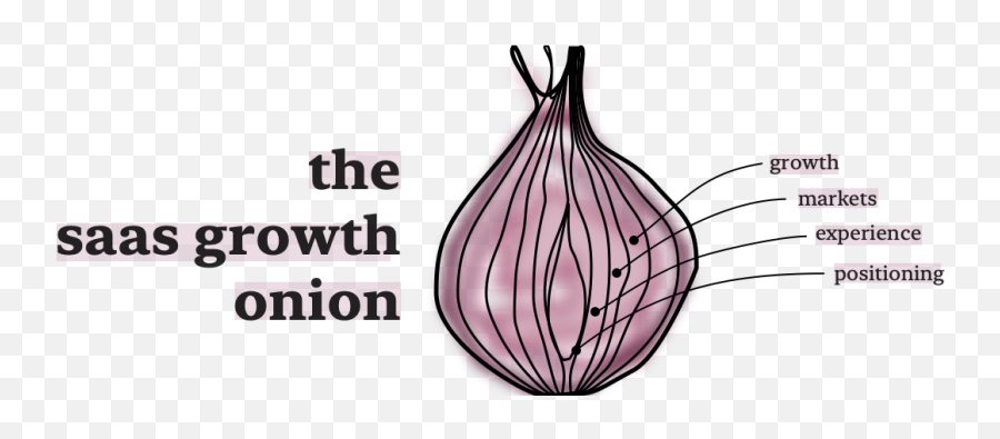 The Saas Growth Onion U2014 Our Views - Clip Art Png,Onion Transparent The Saas Growth Onion U2014 Our Views - Clip Art Png,Onion Transparent