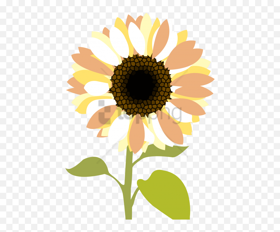 Download Free Png Sunflower Clipart Image With - Cartoon Sunflower,Sunflower Emoji Transparent