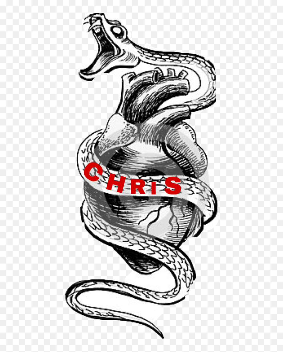 Snake Tattoo Heart Chris Sticker By Leahia Marie - Scary Drawing Of Snake Png,Snake Tattoo Transparent